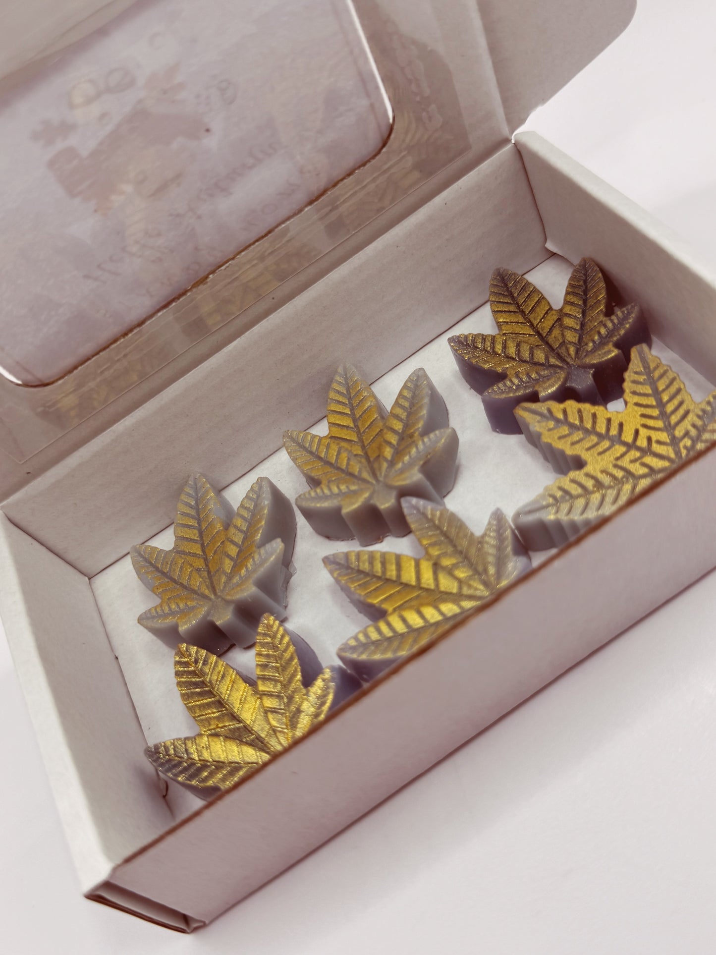 Wax melts Hello Autumn